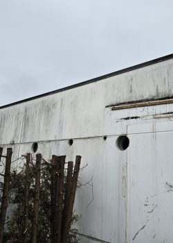 IMG-20241226-WA0009 IMG-20241226-WA0009